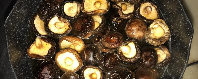 泡發的香菇怎麼保存 分別可以怎麼保存香菇