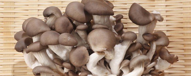 保鮮平菇的最佳方法 保存的時候有什麼要註意的