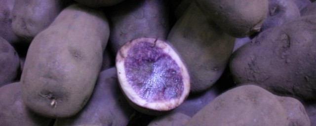 紫土豆的功效與作用 吃瞭對人體有什麼好處