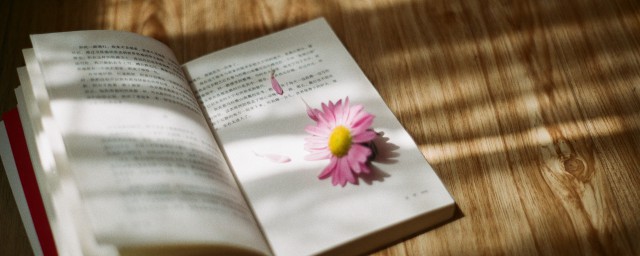 個性簽名櫻花唯美句子 描寫櫻花的優美句子個性簽名