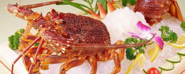 澳洲龍蝦怎麼做才好吃 澳洲龍蝦做法介紹