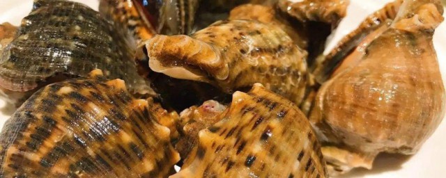 海螺蒸多長時間最好吃 需要怎麼做呢