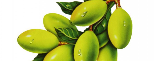 橄欖果怎麼醃制好吃 醃制橄欖果的步驟是什麼