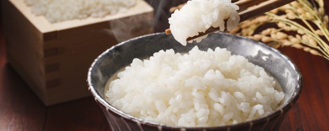 用大米怎樣做魚食 如何用大米做餌料釣魚