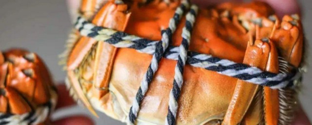 手綁螃蟹的方法 手綁螃蟹的方法介紹