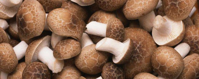 香菇保鮮方法 香菇保鮮方法介紹