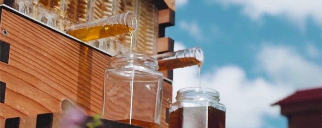 采摘蜂蜜怎麼處理才能吃 吃瞭蜂蜜會有什麼影響嗎