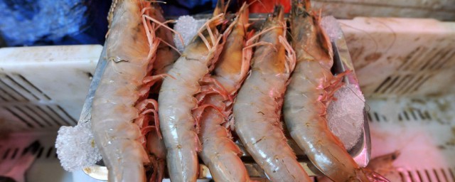 青島大蝦頭怎麼處理 蝦頭怎麼清洗
