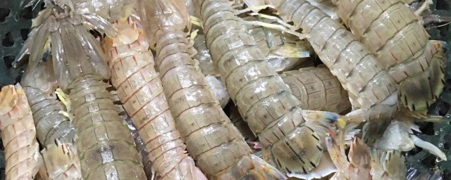 活皮皮蝦怎麼保存一天 有什麼保存皮蝦的技巧