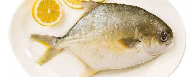 金鯧魚需要怎麼處理 清蒸金鯧魚怎麼洗