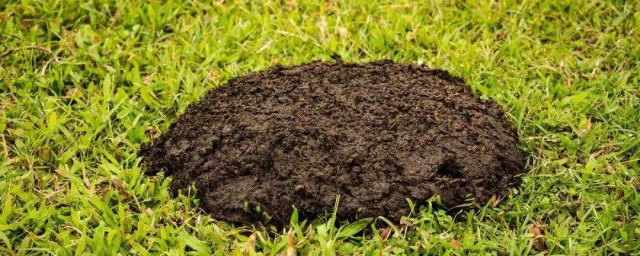 有機肥保存方法 有機肥怎麼保存