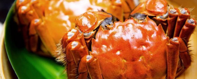 怎樣煮螃蟹 大概需要煮多久呢