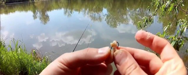 夏季小溪野釣技巧 夏季小溪野釣技巧有什麼