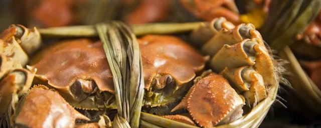 收到青螃蟹怎麼保存 新鮮的螃蟹怎麼保存
