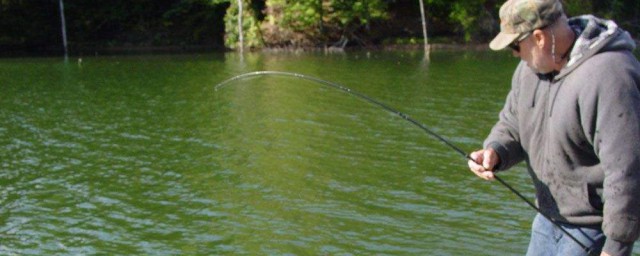 秋季釣魚的技巧和方法 秋季釣魚的技巧介紹