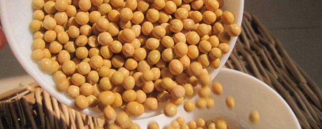 大豆養殖方法 大豆的種植方法介紹