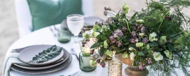 餐桌上適合擺什麼綠植 適合餐桌擺放的盆栽植物有哪些