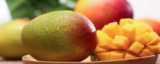 芒果怎麼種盆栽 芒果盆栽的種法