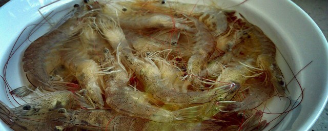 基圍蝦怎麼保存冰箱 基圍蝦的保存方法