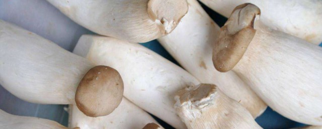鮮蘑菇怎麼保存 鮮蘑菇的保存方法