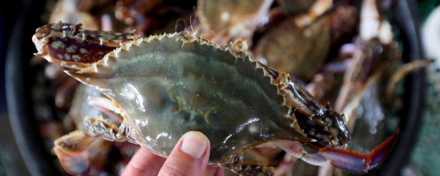 新鮮螃蟹怎麼保存 新鮮螃蟹在傢怎麼養活呢