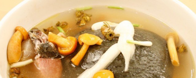 甲魚燉湯怎麼做 清燉甲魚湯的方法