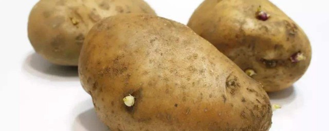 吃瞭發芽的土豆怎麼辦 發芽的土豆可以吃嗎