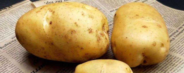 土豆怎麼吃減肥效果好 土豆吃減肥效果好的方法