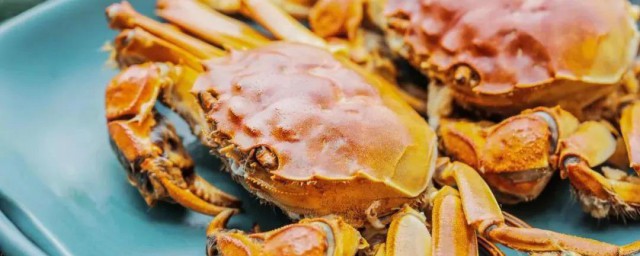 陽澄湖大閘蟹什麼時候最好吃 什麼時候就不宜吃瞭