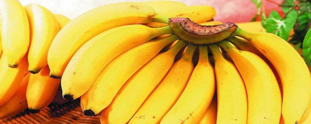 香蕉可以放冰箱裡嗎 香蕉不可以放冰箱裡