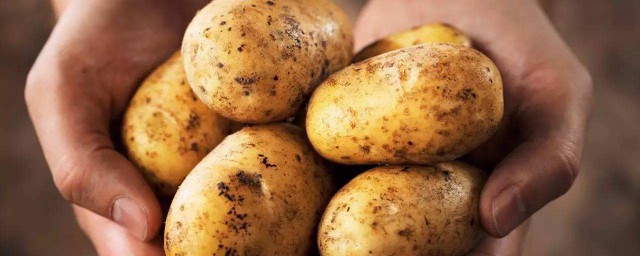 冬季怎麼保存土豆不發芽 有什麼保存的技巧