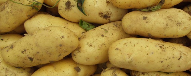 新鮮帶泥的土豆怎麼保存 新鮮帶泥的土豆保存方法