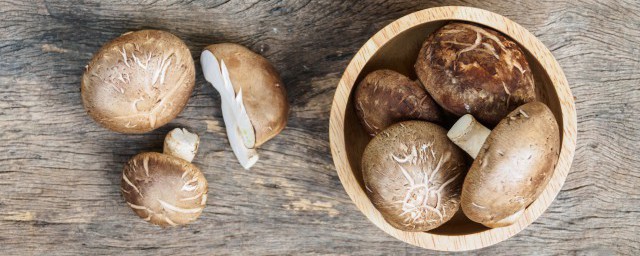 蘑菇采摘下來怎麼保存 分別有什麼保存的方法