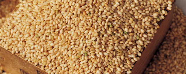 糙米吃不完怎麼保存 糙米保存的方法