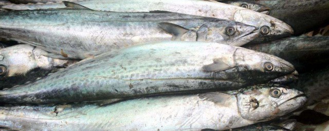 鮁魚幹貨怎麼保存 保存鮁魚幹貨方法