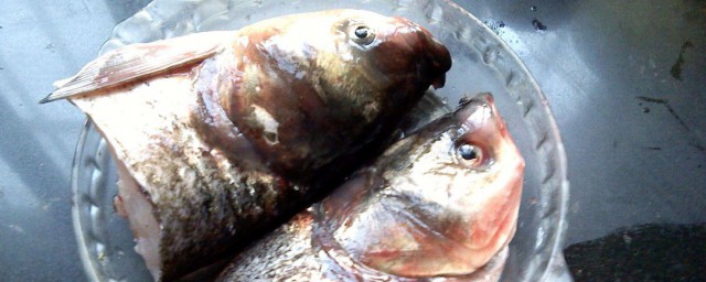 照燒魚頭怎麼做 日式照燒魚頭的做法
