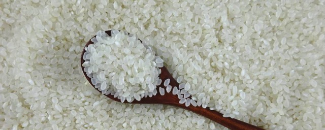 米怎麼做不生蟲 米不生蟲方法介紹