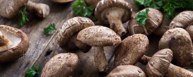 蘑菇的營養學特點 蘑菇中這些物質含量最高