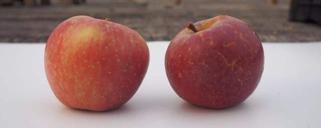 梨和蘋果哪個含糖量高 是什麼原因呢