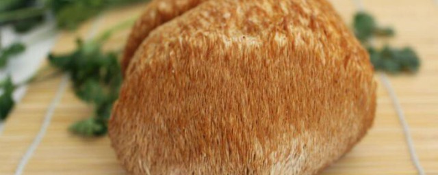 猴頭菇怎麼吃最養胃 猴頭菇的吃法