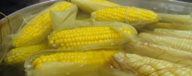 玉米煮多久就可以熟瞭 玉米煮多長時間