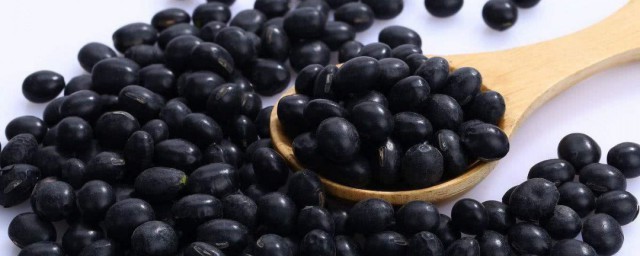 黑豆怎麼吃效果最好 黑豆吃效果最好的方法