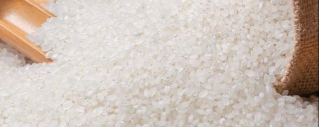 粳米和秈米的區別 兩者有什麼不同