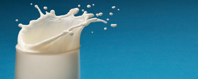 花膠燉牛奶 花膠燉牛奶的做法