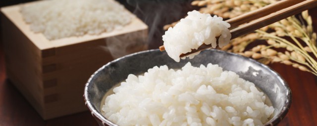 100克米飯的熱量 米飯含有哪些營養