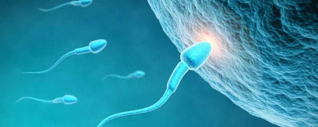 精子存活時間有多長 精子能存活多久