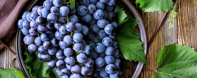 葡萄不放冰箱怎麼保存 保存葡萄的方法