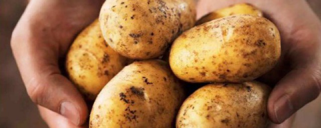 土豆如何保存 土豆的存儲方式