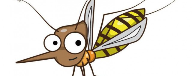殺死蚊子最有效的方法 殺死蚊子的方法有哪些