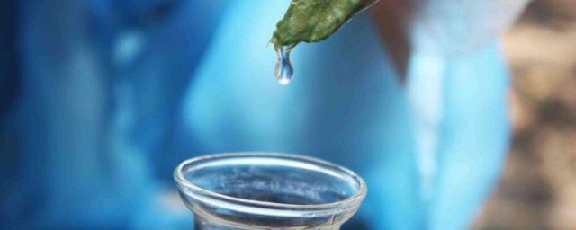 鮮絲瓜水怎麼保存 鮮絲瓜水的保存方法